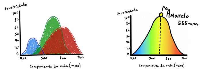 Espectro de comprimentos de onda da luz visível